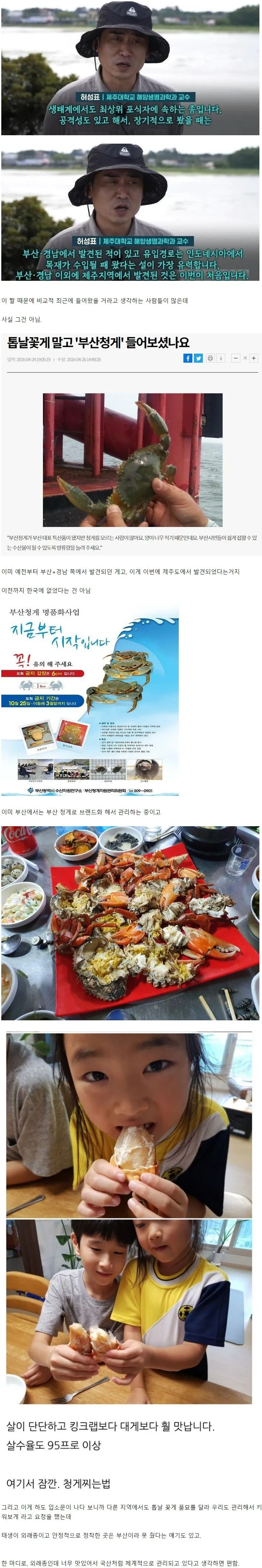 맛있어서 초스피드로 개명당한 외래종