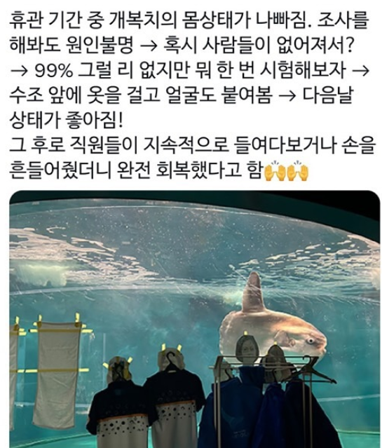 손님 없어서 우울증 걸린 개복치.jpg