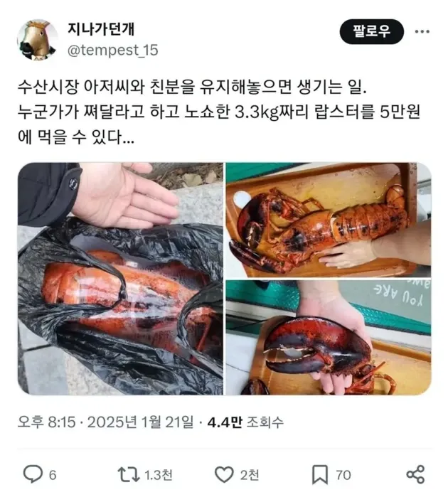 수산시장 아저씨랑 친하면 일어나는 일