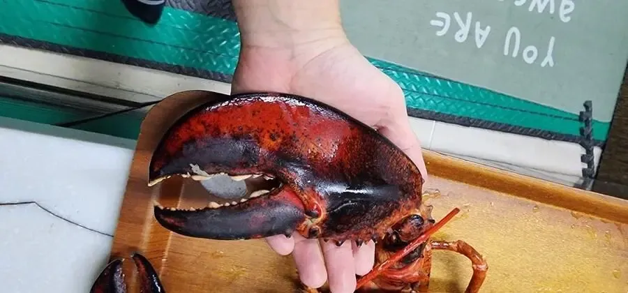 수산시장 아저씨랑 친하면 일어나는 일