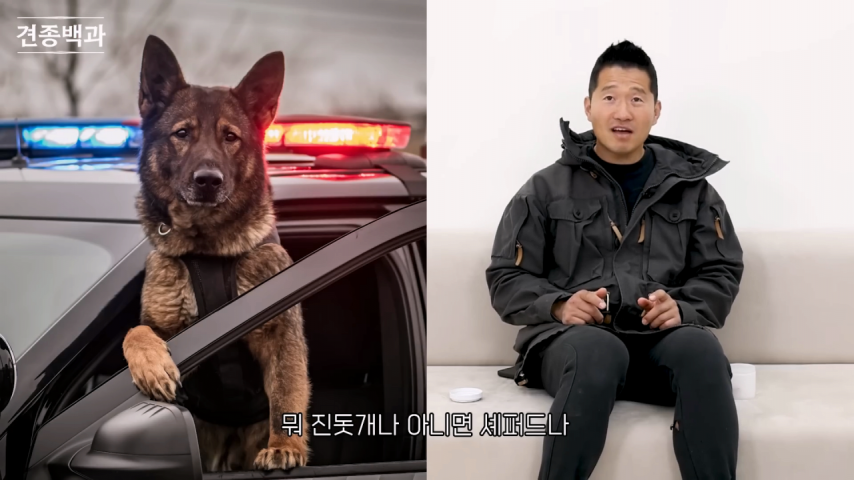 강형욱에게 문의가 가장 많이 온다는 사나운 견종