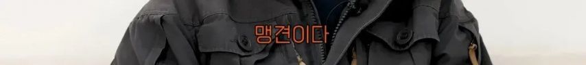강형욱에게 문의가 가장 많이 온다는 사나운 견종