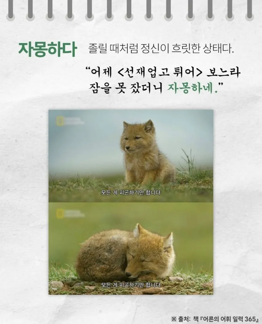 들을수록 귀엽고 예쁜 순수 우리말들