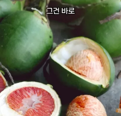 해외에서 먹으면 안되는 열매
