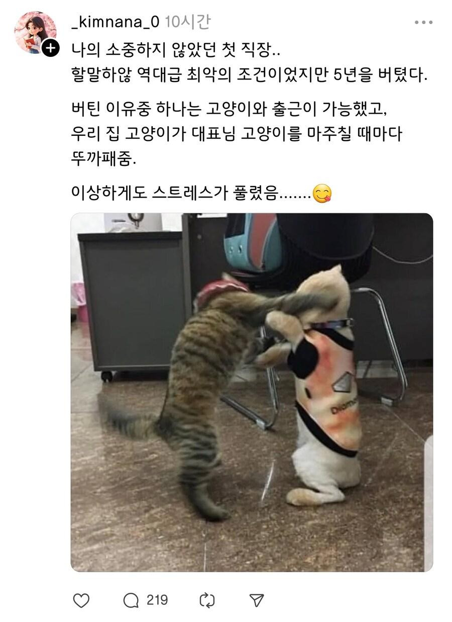 최악의 직장을 5년간 버틴이유.jpg