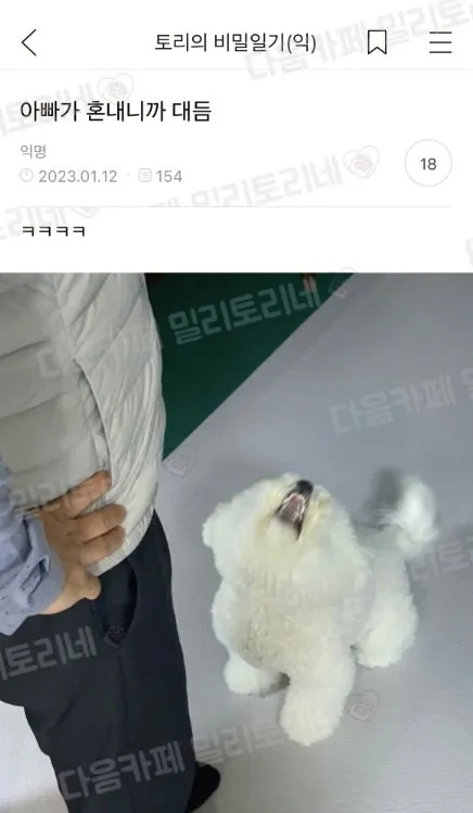 아빠가 혼내니까 대듬