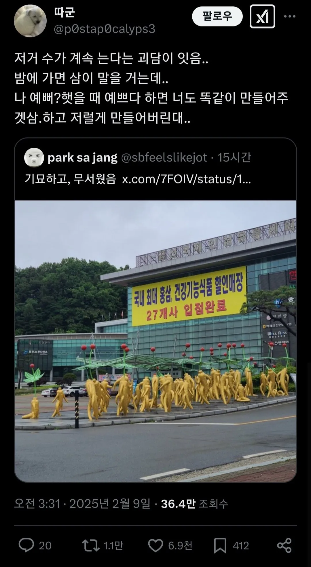 금산 인삼 괴담