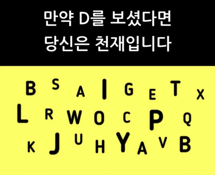 만약 D를 보셨다면 당신은 천재입니다