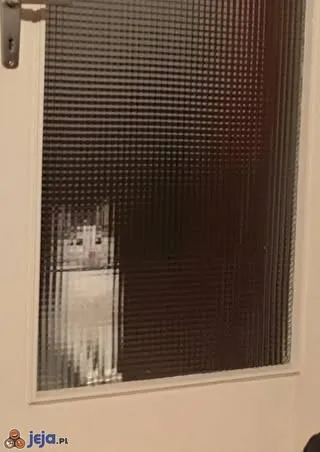 현실을 픽셀화 시켜버리는 아이템