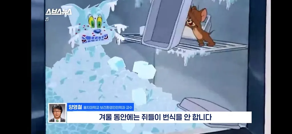 전세계적으로 최대 390% 늘고 기후변화로 한국에서도 길쥐가 많이 늘어날꺼라함.jpg