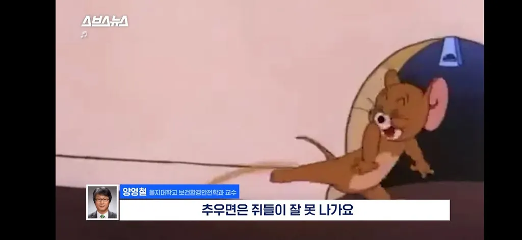전세계적으로 최대 390% 늘고 기후변화로 한국에서도 길쥐가 많이 늘어날꺼라함.jpg