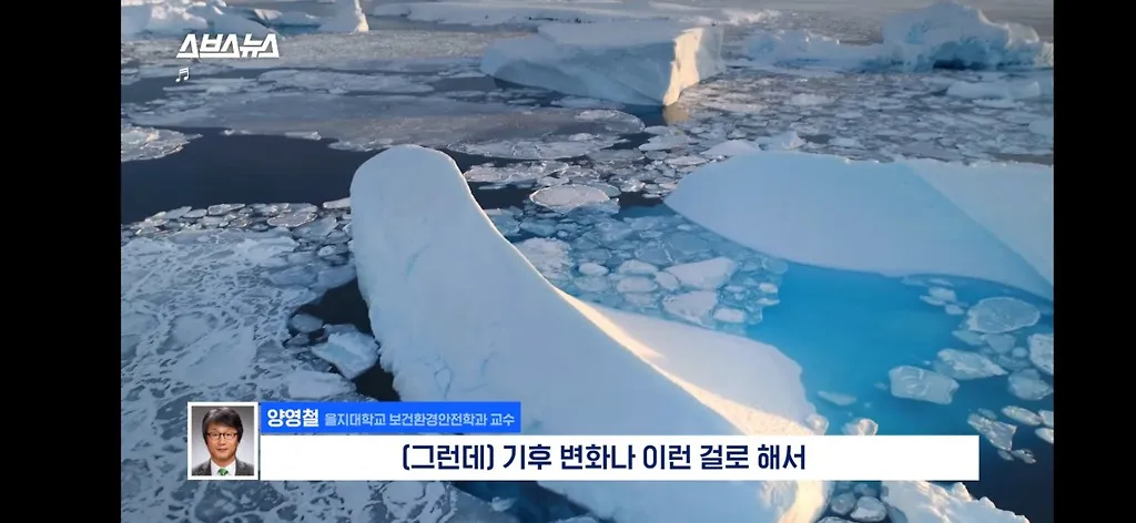 전세계적으로 최대 390% 늘고 기후변화로 한국에서도 길쥐가 많이 늘어날꺼라함.jpg
