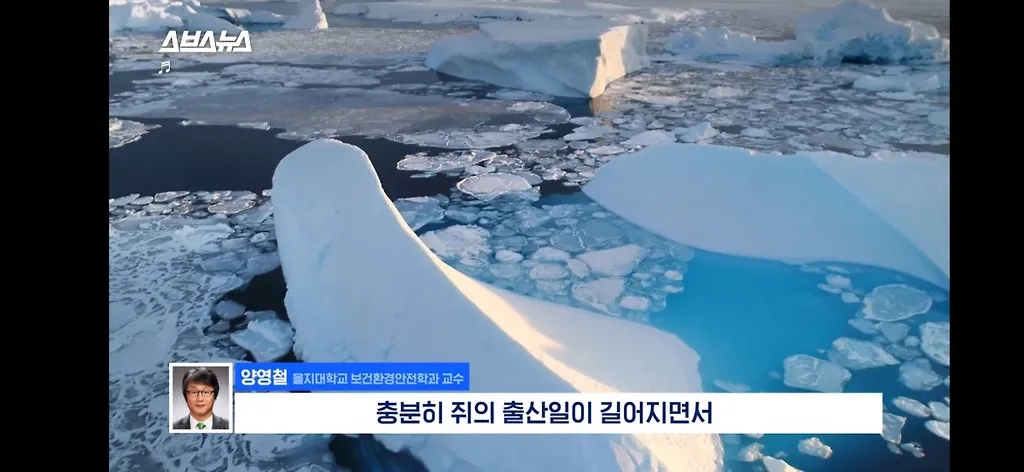 전세계적으로 최대 390% 늘고 기후변화로 한국에서도 길쥐가 많이 늘어날꺼라함.jpg