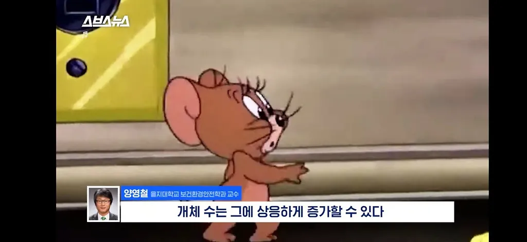 전세계적으로 최대 390% 늘고 기후변화로 한국에서도 길쥐가 많이 늘어날꺼라함.jpg