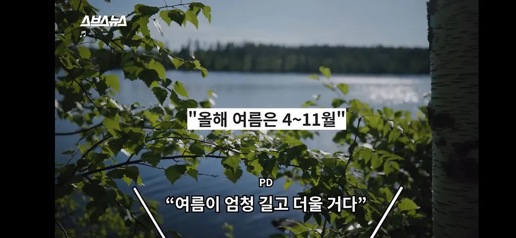 전세계적으로 최대 390% 늘고 기후변화로 한국에서도 길쥐가 많이 늘어날꺼라함.jpg