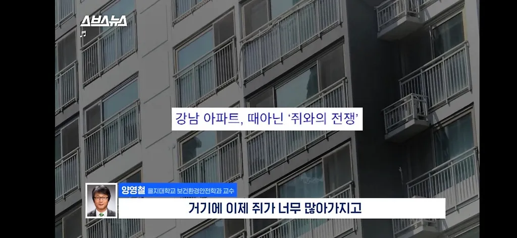 전세계적으로 최대 390% 늘고 기후변화로 한국에서도 길쥐가 많이 늘어날꺼라함.jpg
