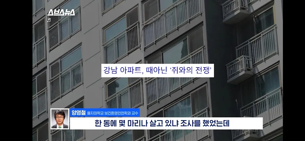 전세계적으로 최대 390% 늘고 기후변화로 한국에서도 길쥐가 많이 늘어날꺼라함.jpg