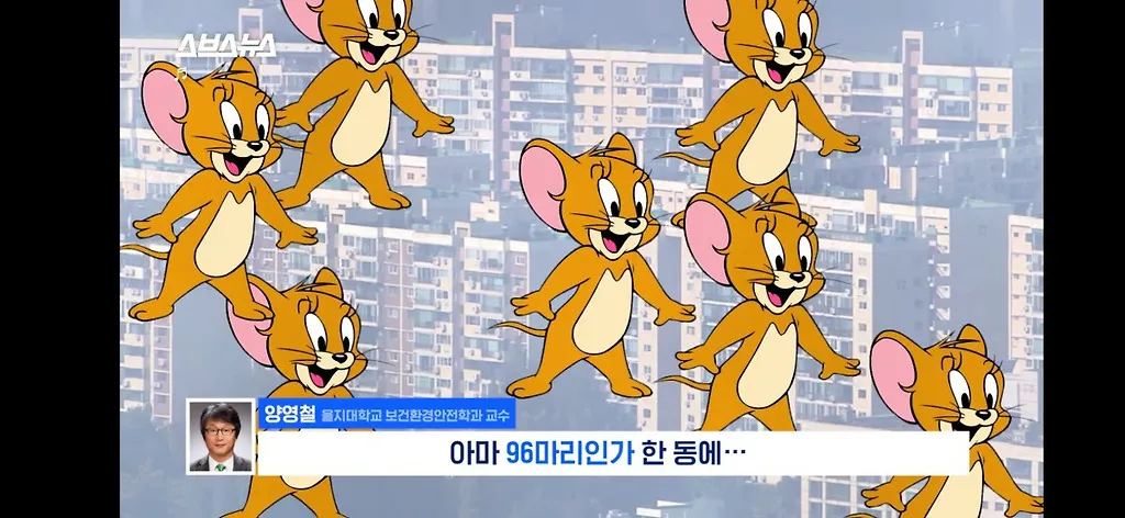전세계적으로 최대 390% 늘고 기후변화로 한국에서도 길쥐가 많이 늘어날꺼라함.jpg