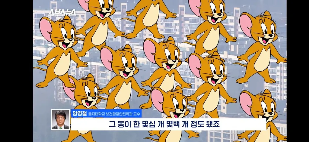 전세계적으로 최대 390% 늘고 기후변화로 한국에서도 길쥐가 많이 늘어날꺼라함.jpg
