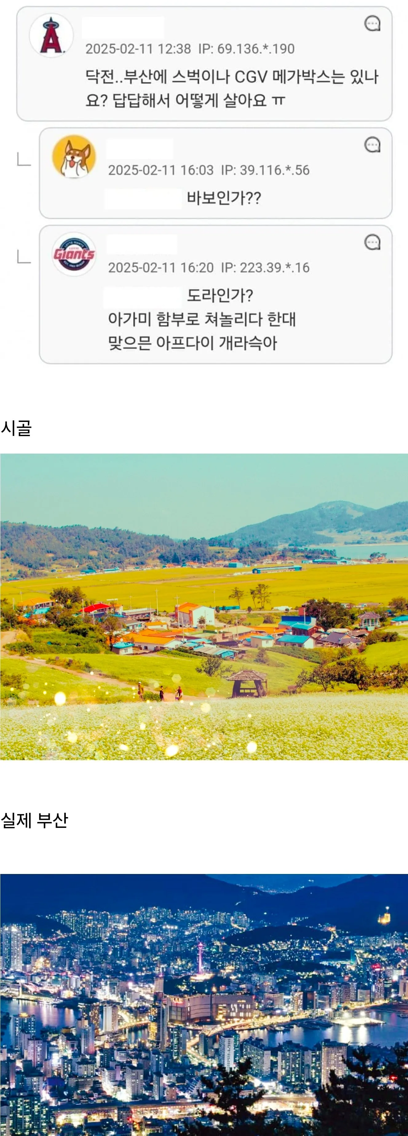 일부 서울 사람들이 생각하는 부산 이미지