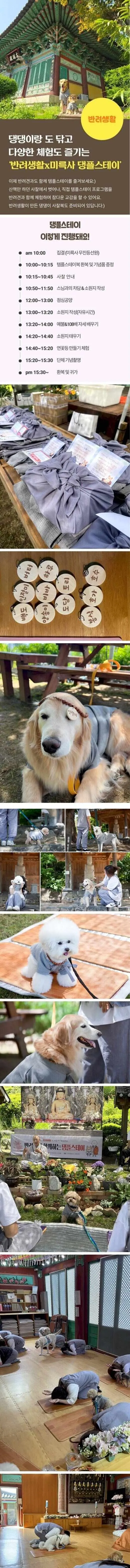 요새 견주들 사이에 핫하다는 장소.jpg
