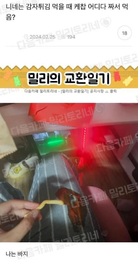 감자튀김 먹을 때 케찹 어디다 짜서 먹음?