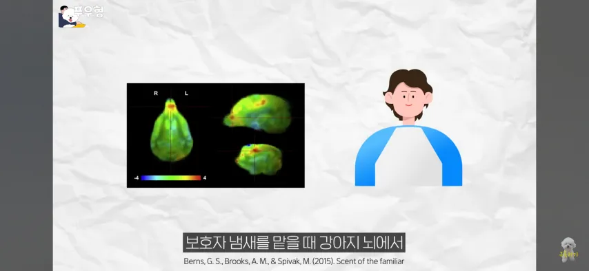 댕댕이에게 도파민 펌핑이 되는 행동