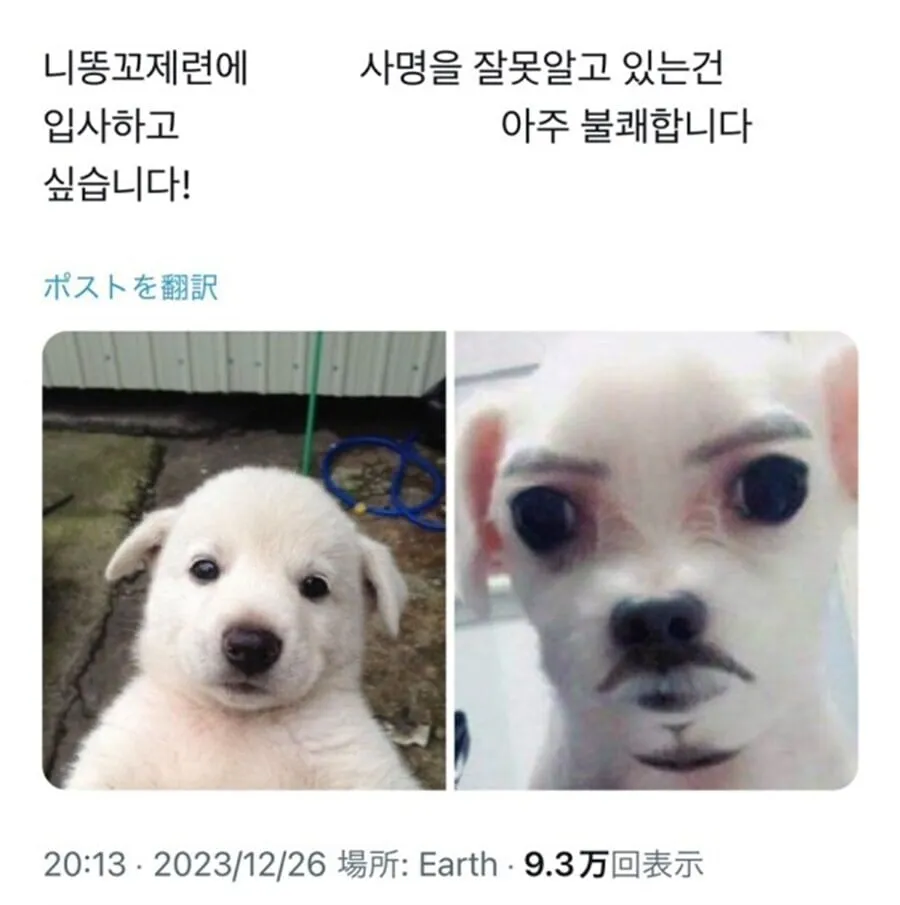 LS 그룹 계열사가 사명을 바꾼 이유.jpg