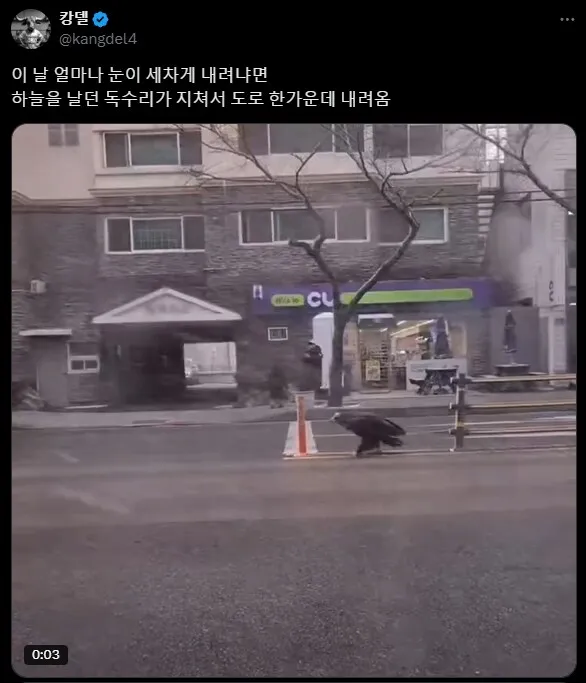 독수리 : 아 한반도 날씨 ㅎㄷㄷ