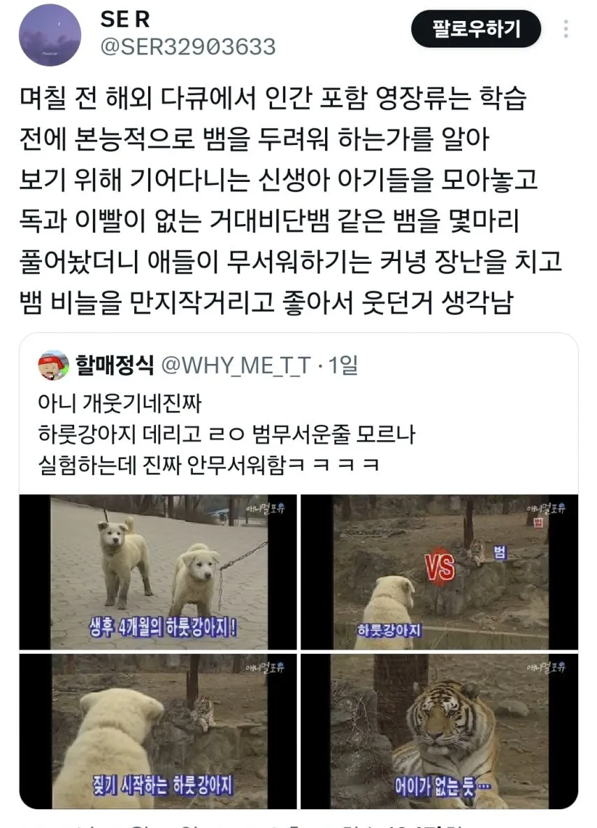 하룻강아지 범 무서운줄 모른다 - 인간판 실험