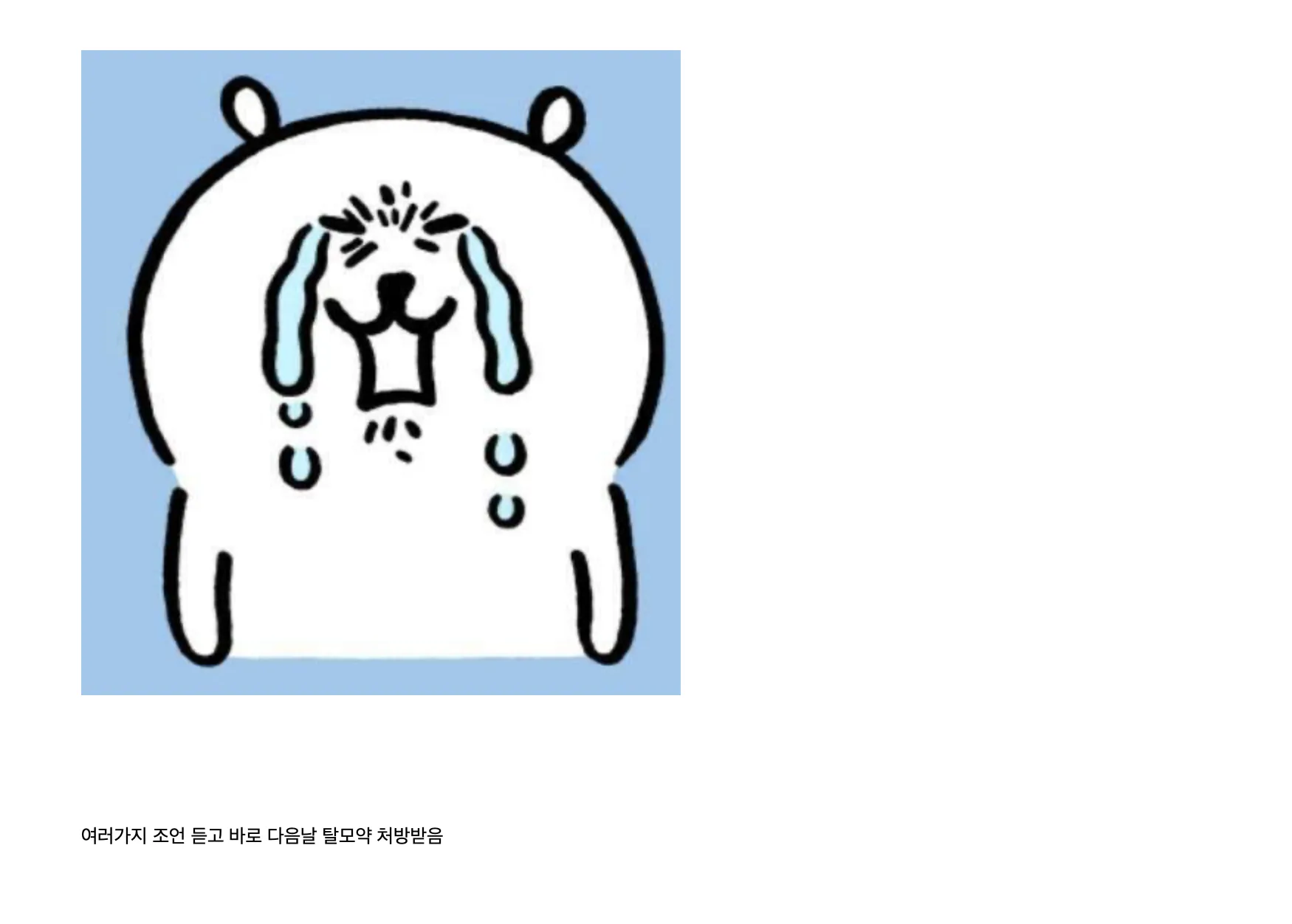 어느 펨붕이의 탈모약 2달 복용 후기