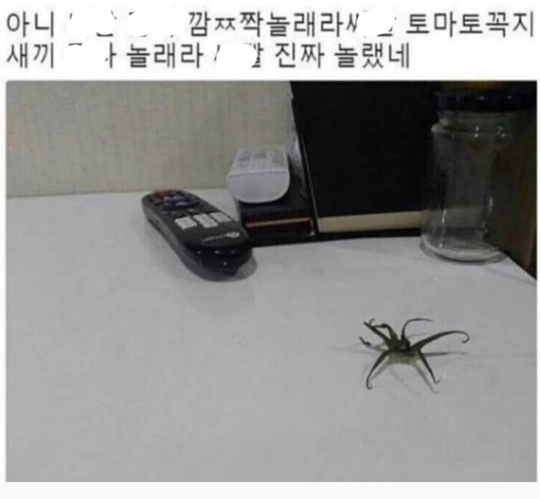 토마토 꼭지 보고 놀란 사람.JPG