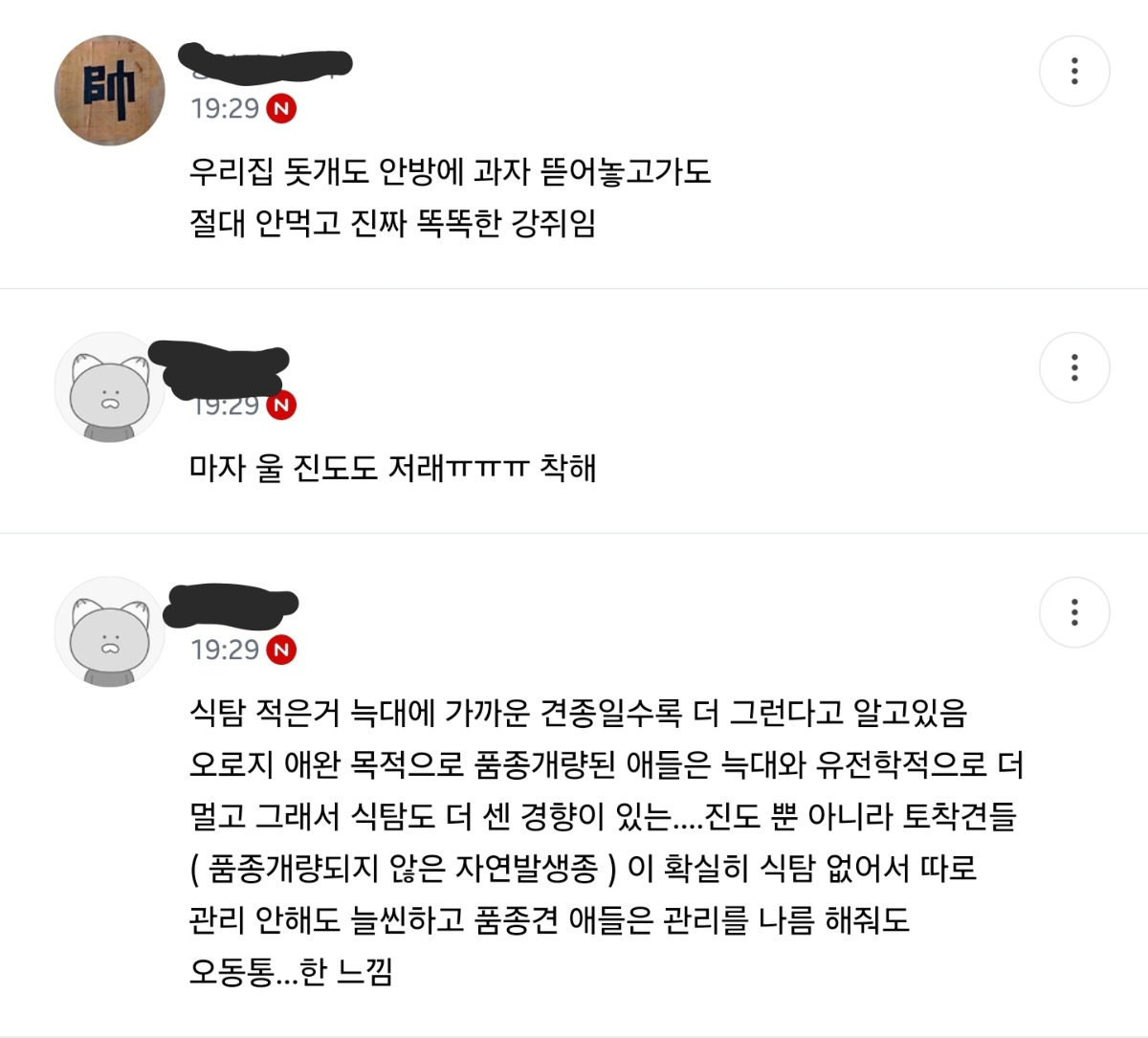 진돗개는 식탐 조절을 잘한다