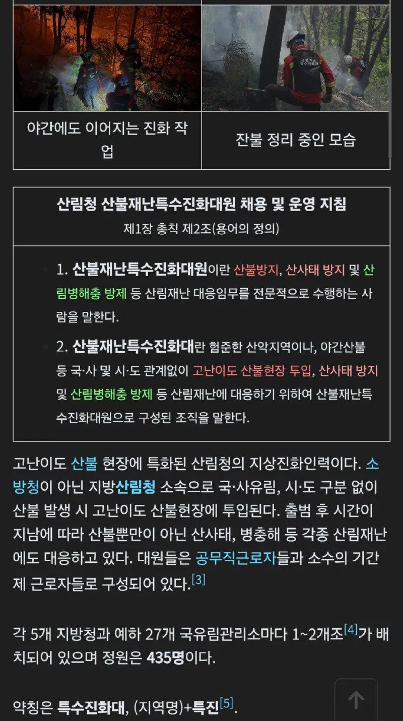 산불 재난 특수 진화대라는게 있었네요