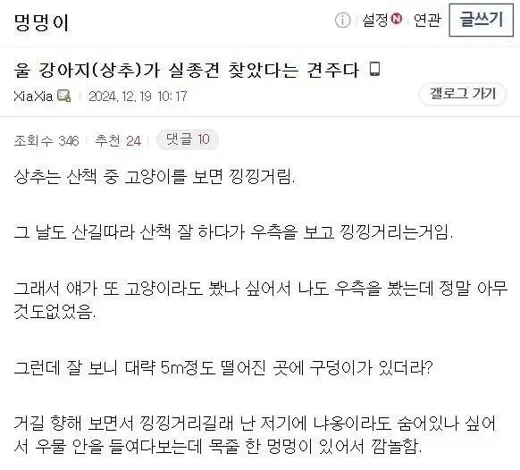 20일 동안 실종된 개를 구조한 강아지.jpg