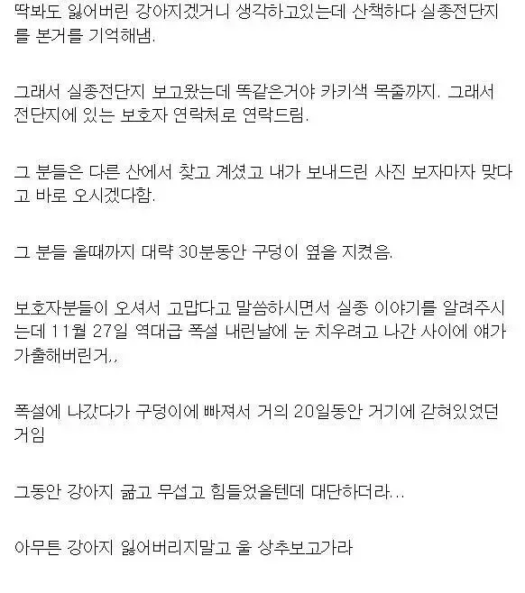 20일 동안 실종된 개를 구조한 강아지.jpg