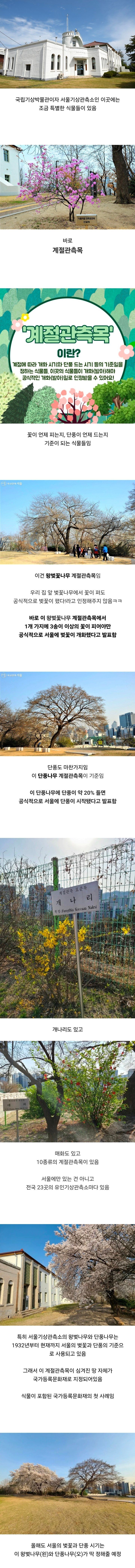 조금 특별한 식물이 있는 서울기상관측소.jpg