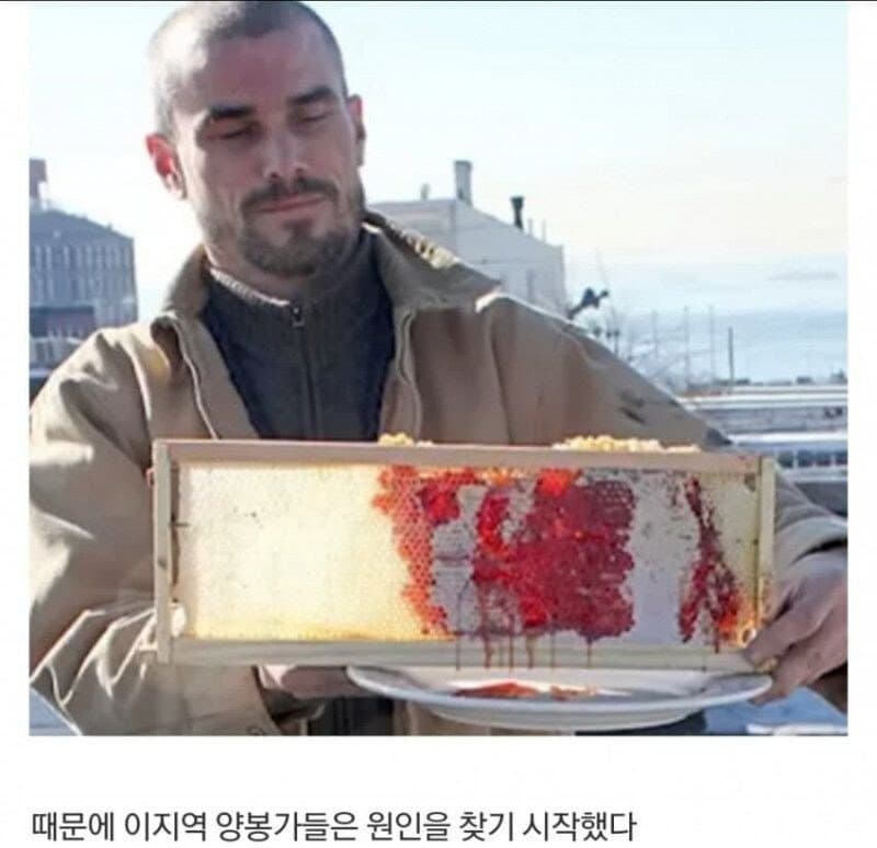 미국 레드허니 사건