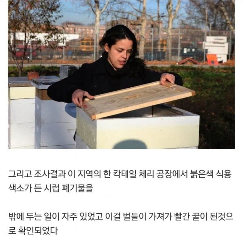 미국 레드허니 사건