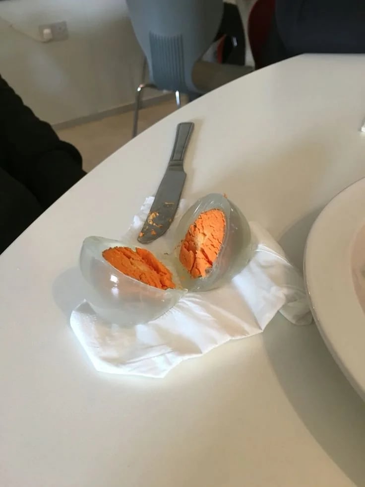 진짜 몰랐던 삶은 펭귄 알의 진실