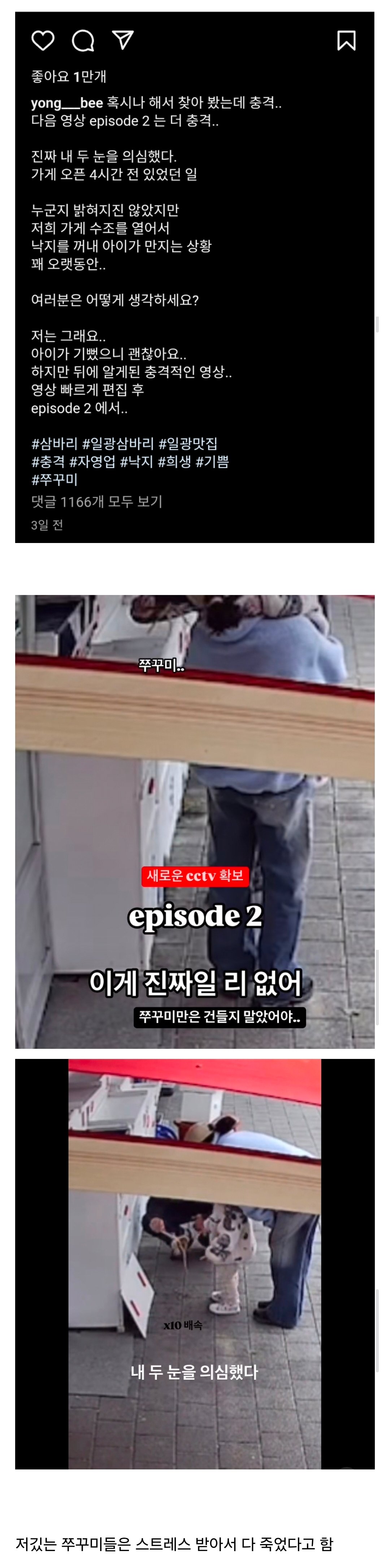 남의 가게 수조함 열고 애한테 낙지 촉감놀이 시키는 부모.jpg