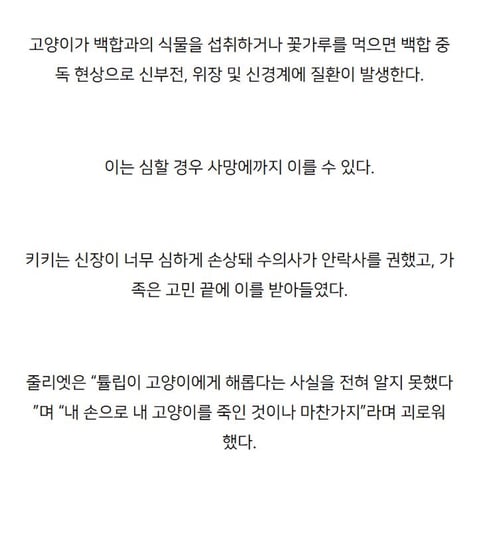 주인의 무지로 죽은 고양이.jpg