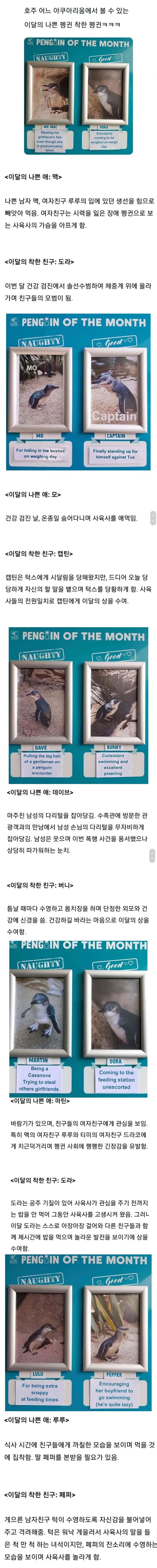 호주 어느 아쿠아리움에서 볼 수 있는 이달의 나쁜 펭귄과 착한 펭귄🐧