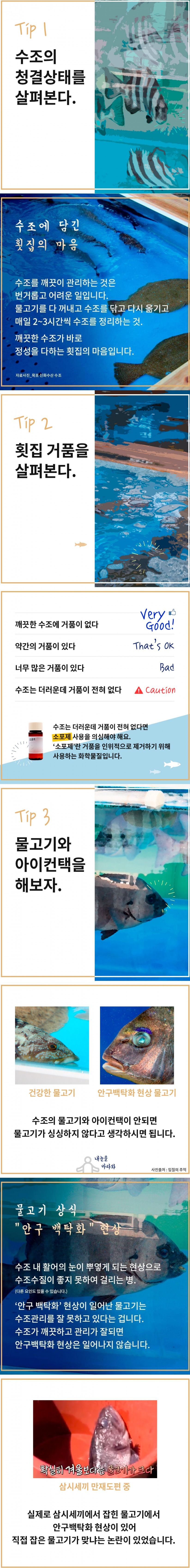 싱싱한 회를 고르는 팁.