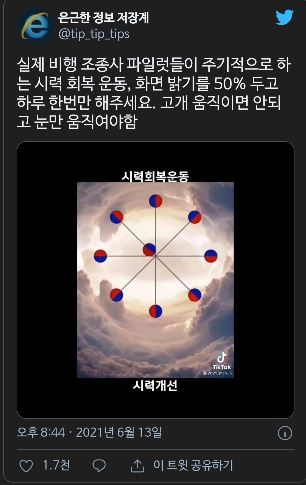실제 비행 조종사 파일럿들이 주기적으로 하는 시력 회복 운동.twt