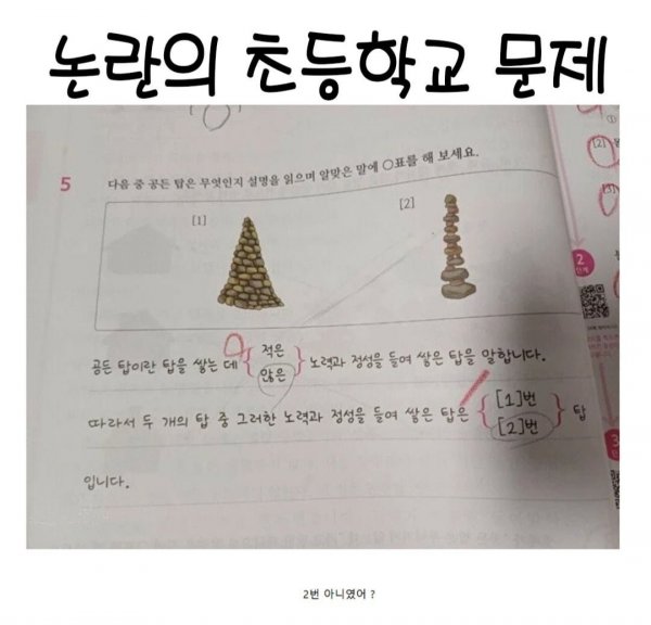 논란의 초등학교 문제