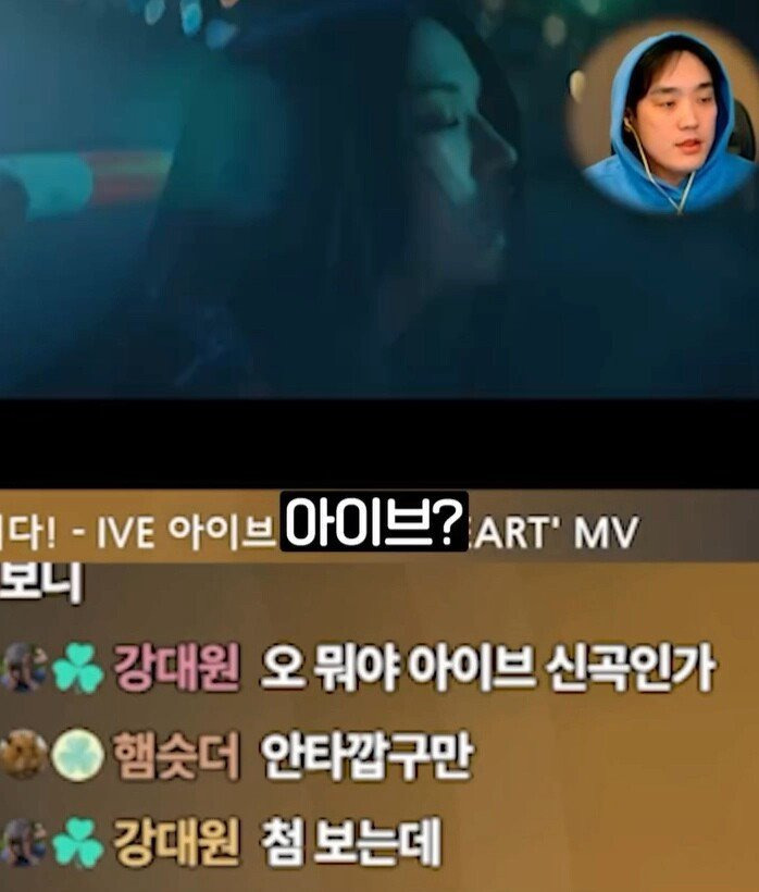 시청자들이 장원영 닮았다는 스트리머.jpg