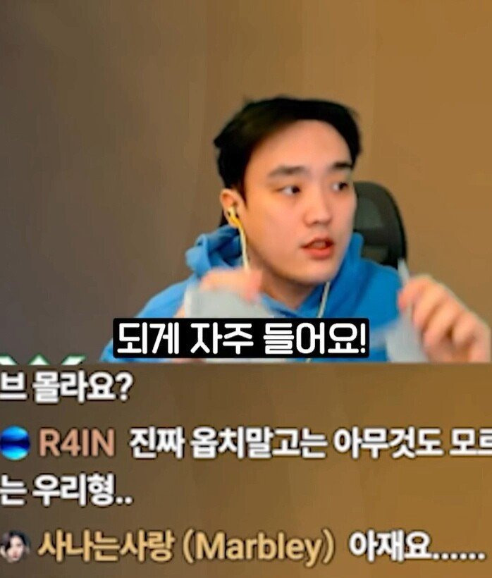 시청자들이 장원영 닮았다는 스트리머.jpg