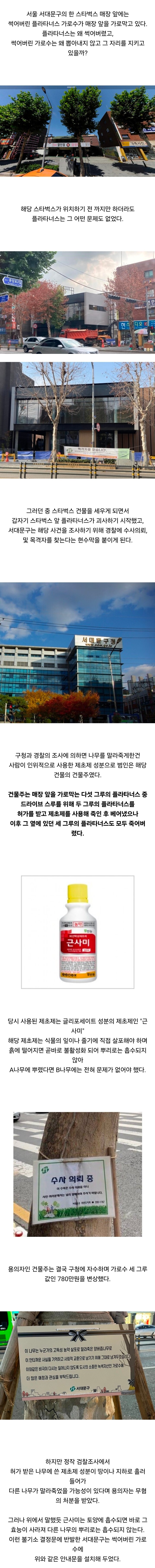 전국 수백개 스타벅스 중 유일하게 평점이 1점대라는 곳...jpg
