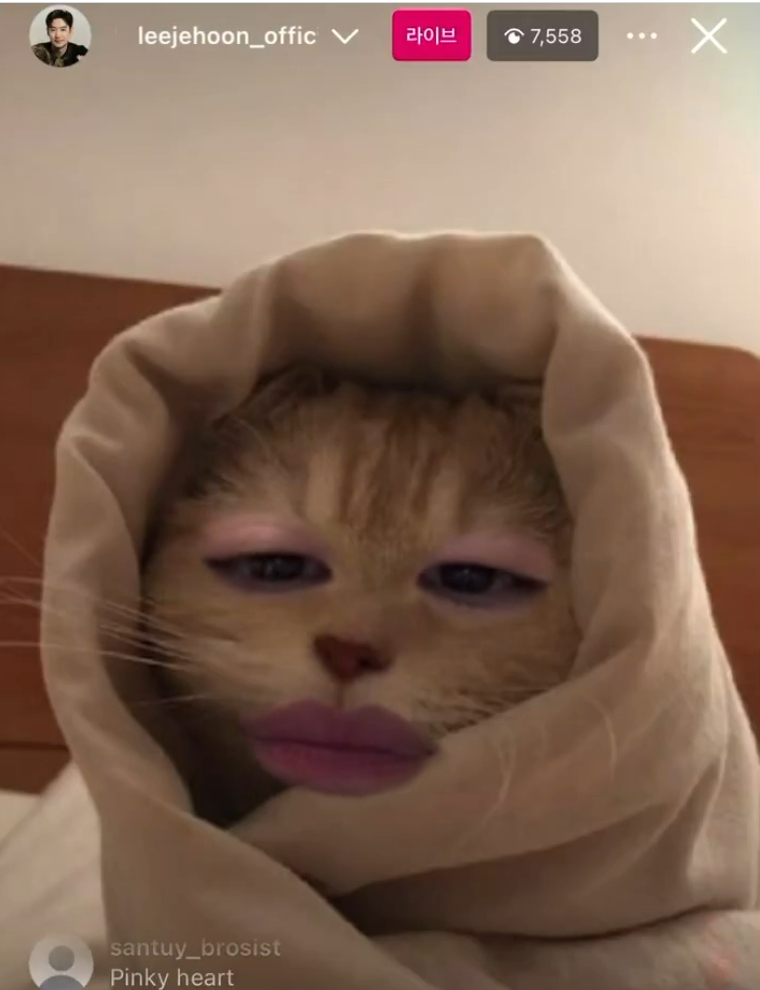 인스타라이브 하다가 필터 실수한 이제훈